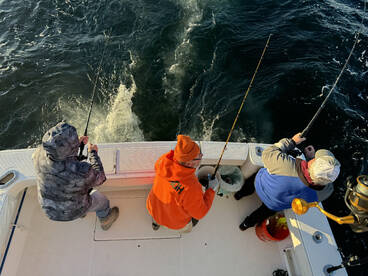 Point Pleasant Report Photo 2