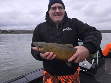 Browns in dirty water