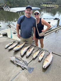 Gulf Shores Report Photo 2