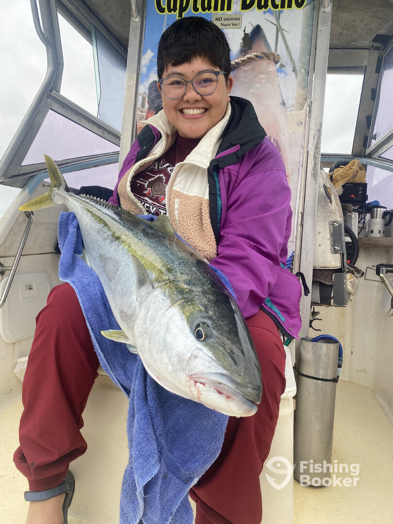 Paihia Report Photo 0