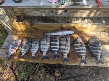 Eastpoint Report Photo 2