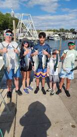 Mack Attack Mackerel