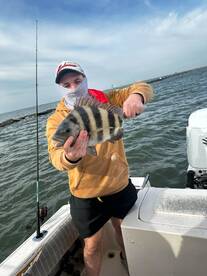 Galveston Report Photo 2