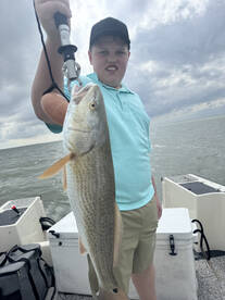Galveston Report Photo 2