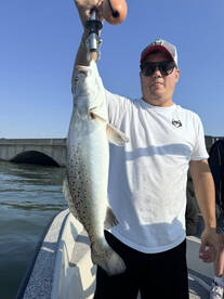 Galveston Report Photo 1