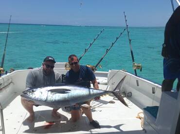 Off season big yellowfin tuna 