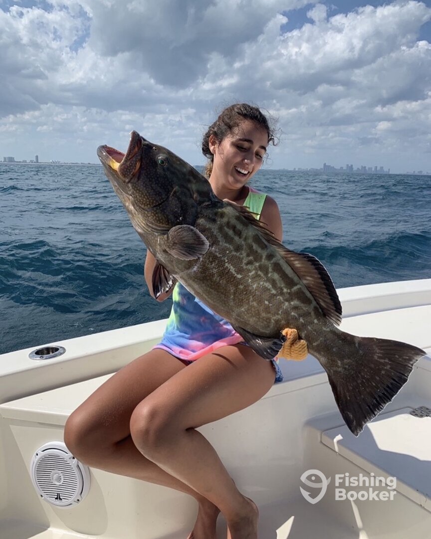 North Miami Report Photo 0