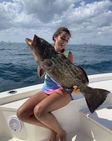 Black groupers on the wrecks