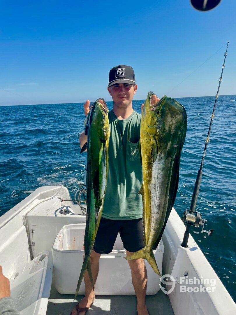 San Jose del Cabo Report Photo 0