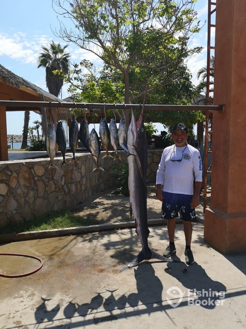 San Jose del Cabo Report Photo 0
