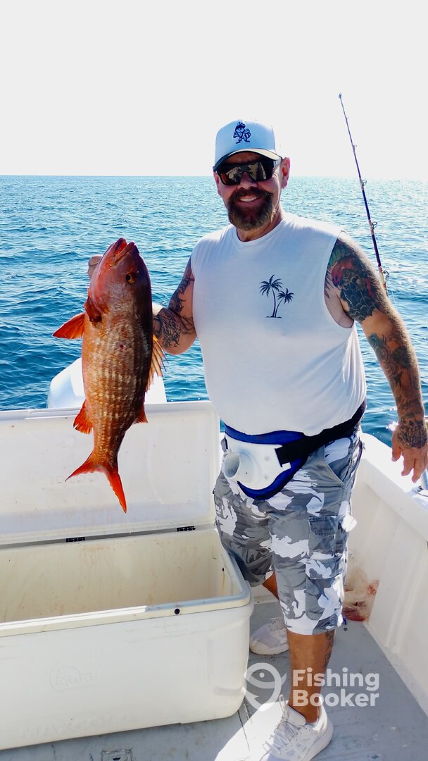 San Jose del Cabo Report Photo 0