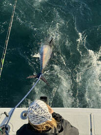 Point Pleasant Report Photo 1