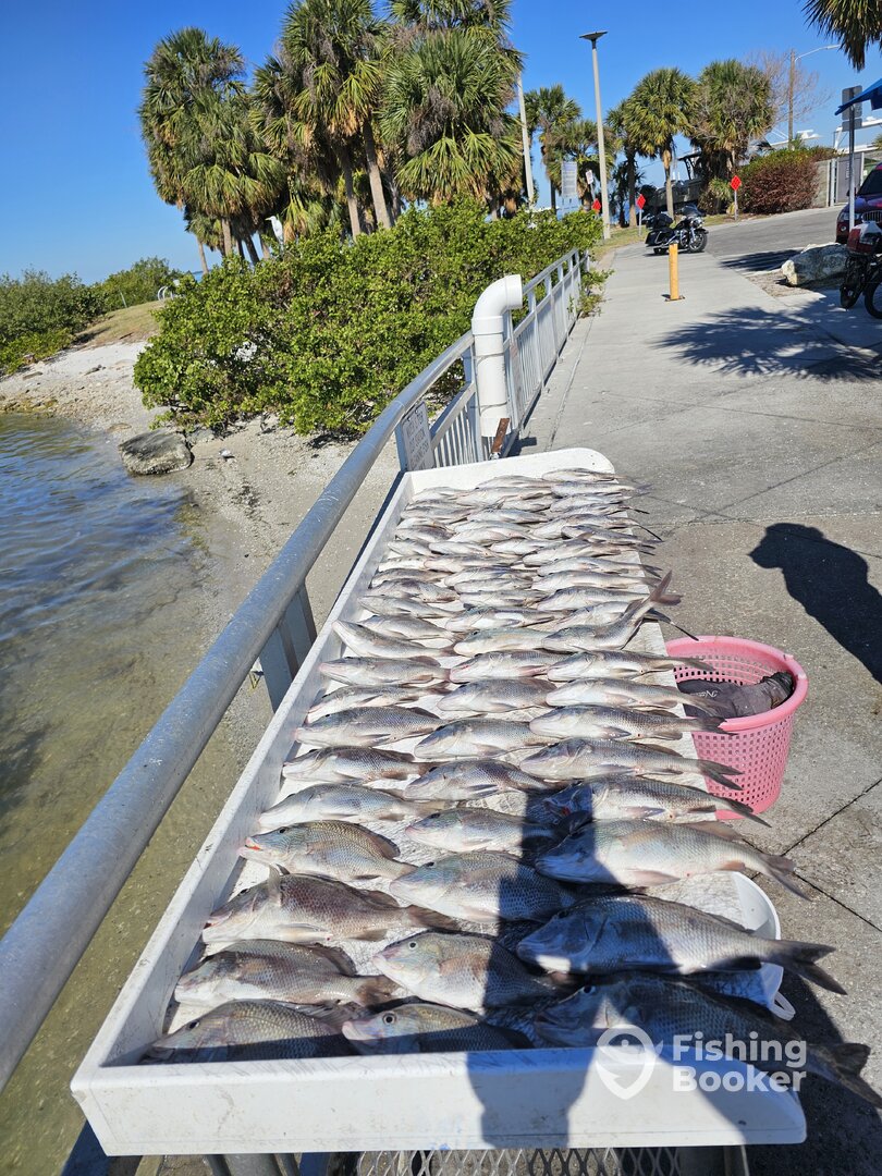 Clearwater Report Photo 0