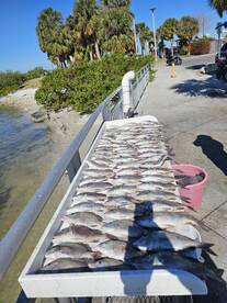 Fire bite!!! Over 100 fish 