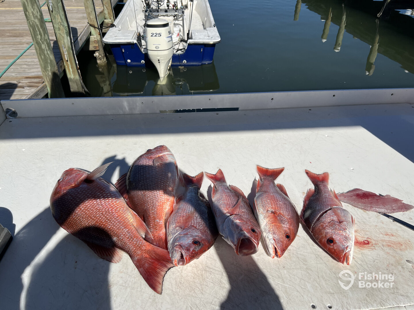 Fort Morgan Report Photo 0