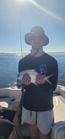 20 degree Swing brings in fish!