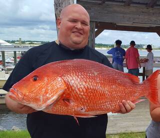 Orange Beach Report Photo 1