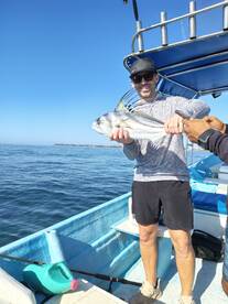 Fun with the roosters 