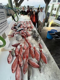 Orange Beach Deep Sea Fishing! 