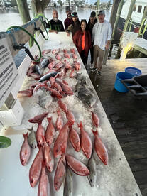 Orange Beach Report Photo 1