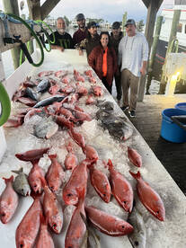Orange Beach Report Photo 2
