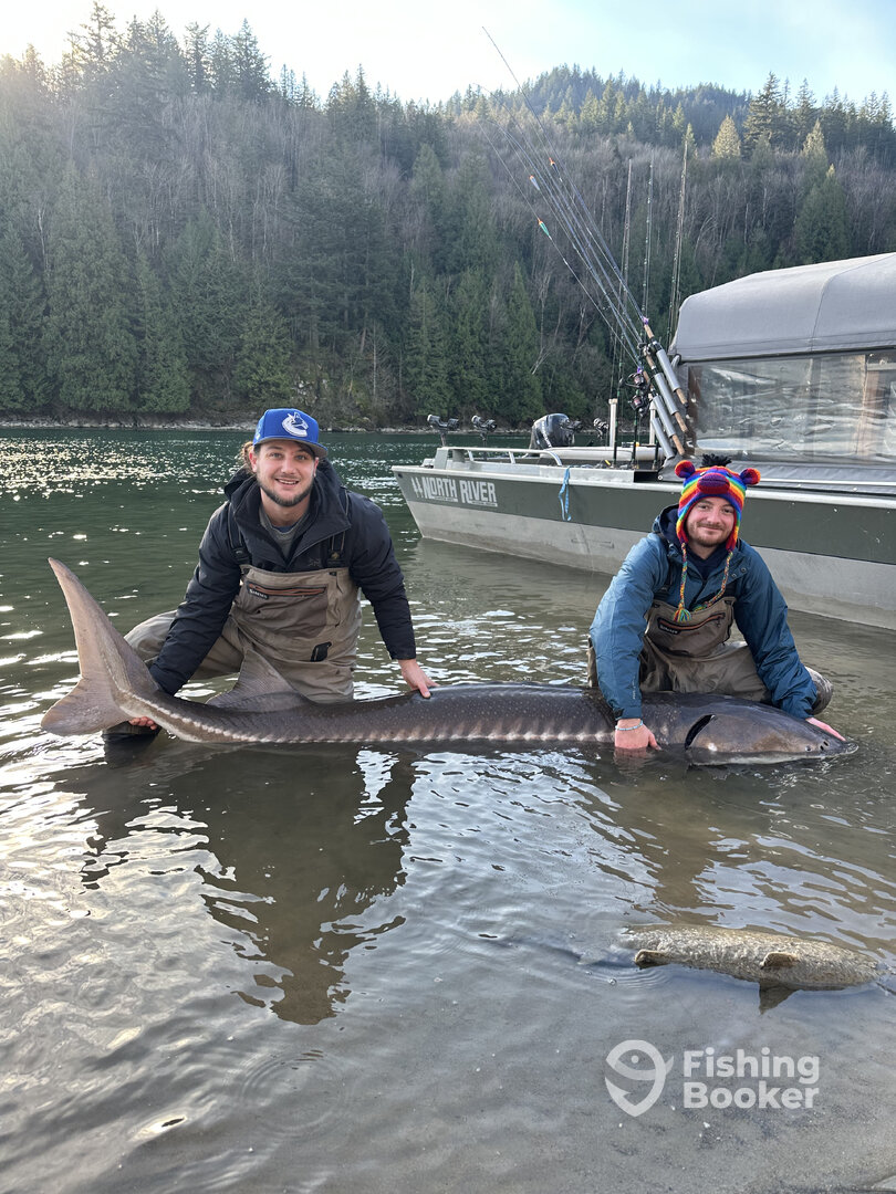Chilliwack Report Photo 0