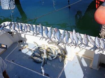 Port Canaveral Report Photo 2