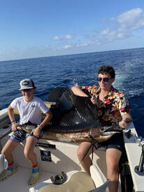 Puerto Vallarta Report Photo 1