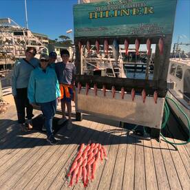 Great bite right now!