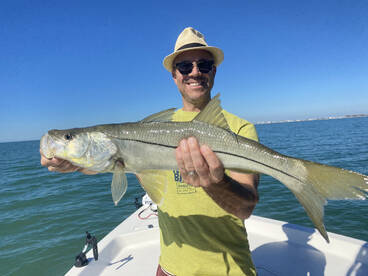 Sarasota Report Photo 1