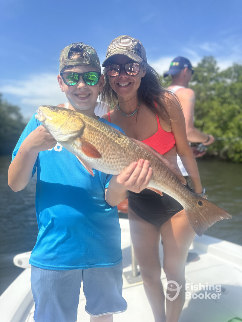 Sarasota Report Photo 0