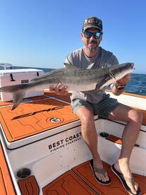 Sarasota Report Photo 1