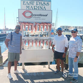 Cinnsational 5hr mingo snapper trip