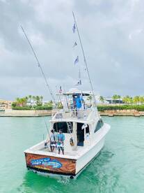 10!!! Blue Marlin in one full day trip!!