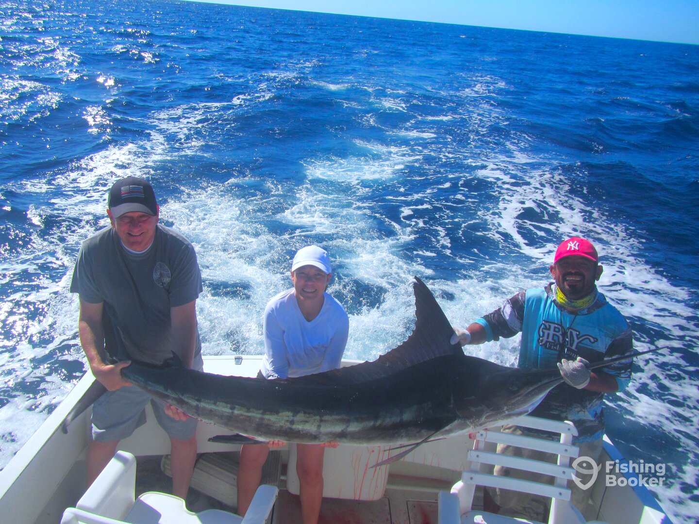 Cabo San Lucas Report Photo 0