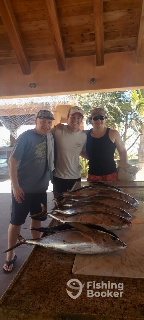 San Jose del Cabo Report Photo 0
