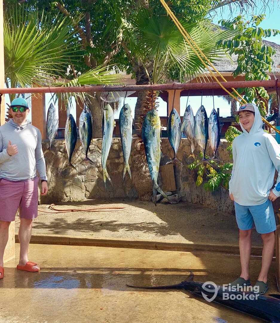 San Jose del Cabo Report Photo 0
