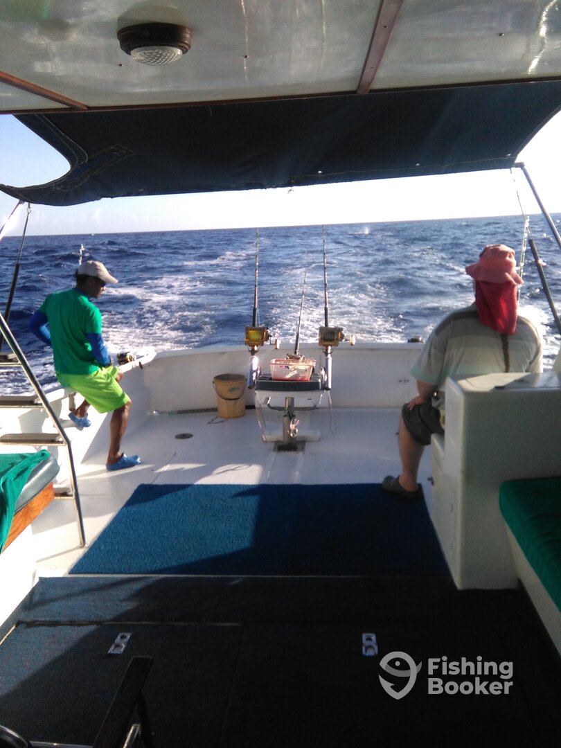 Le Morne Report Photo 0