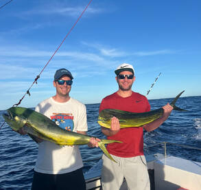 mahi mahi morning 