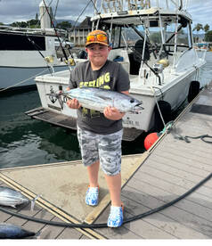 2 marlin and 3 skipjack tuna