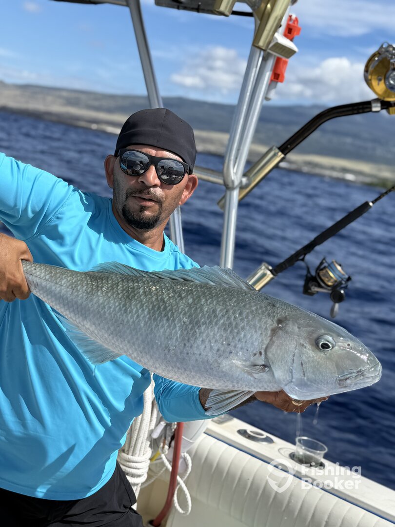 Kailua-Kona Report Photo 0