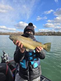 Over 30 fish today ? bite