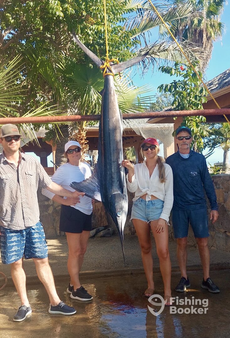 San Jose del Cabo Report Photo 0