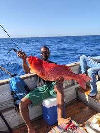 What an amizing coarl trout 