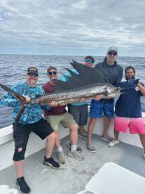 Dania Beach Report Photo 2