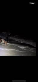 Destin Report Photo 2