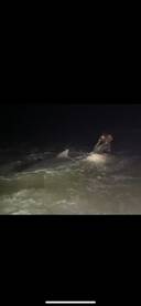 Destin Report Photo 1