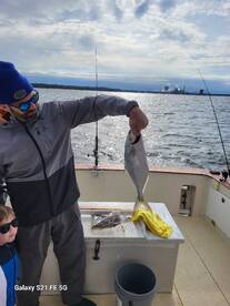 Fernandina Beach Report Photo 1