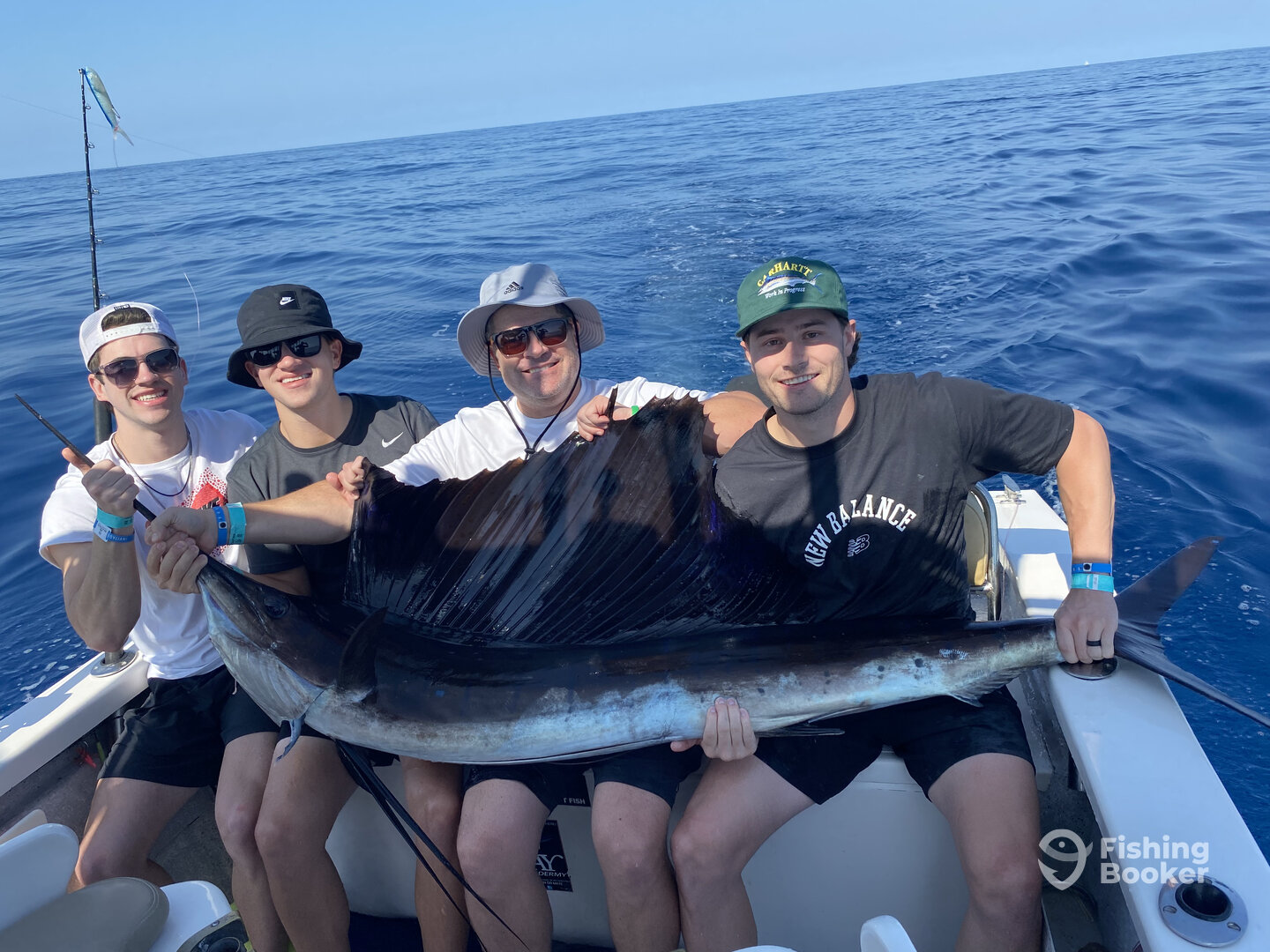 Puerto Vallarta Report Photo 0