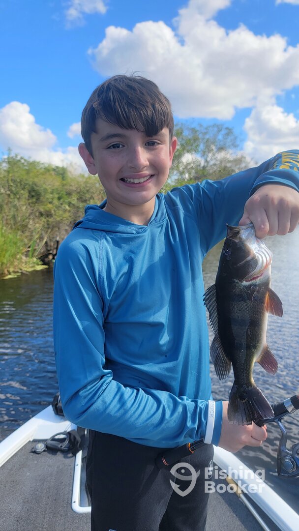 One of his first Everglades Peacock